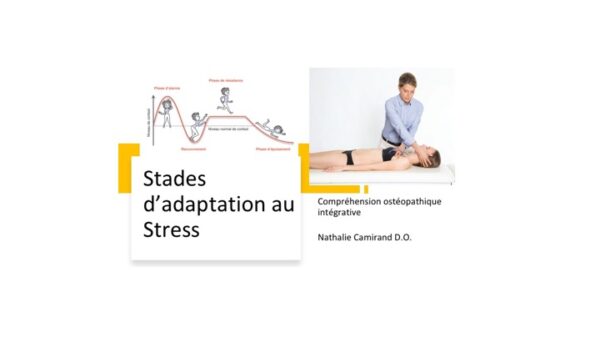 Stades d'adaptation au stress. Compréhension ostéopathique intégrative