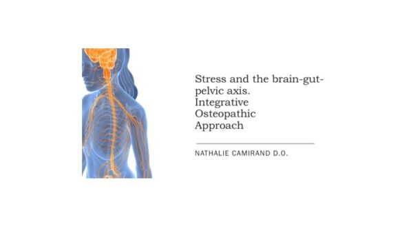 Stress and the brain-gut-pelvis axis