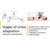 Stages of stress adaptation. Integrative osteopathic understanding - Image 2