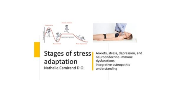 Stages of stress adaptation. Integrative osteopathic understanding