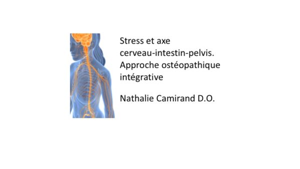 Stress et axe cerveau-instestin-pelvis