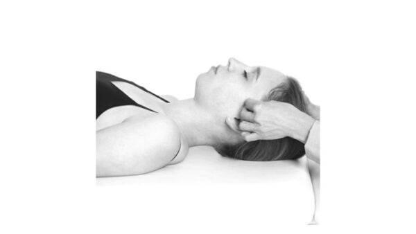 Stress, anxiété et dépression - Approche ostéopathique intégrative de l'encéphale au sein de l'axe cerveau-intestin-pelvis. Nathalie Camirand D.O.