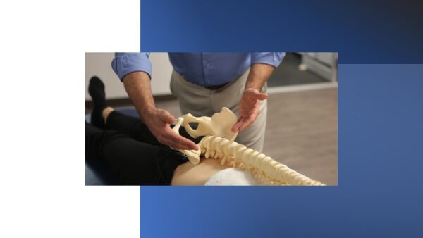 Les dysfonctions du bassin et de la hanche: approche myofasciale ("applied fascial release" - AFR)  et exercices thérapeutiques. Paul Evans D.O.