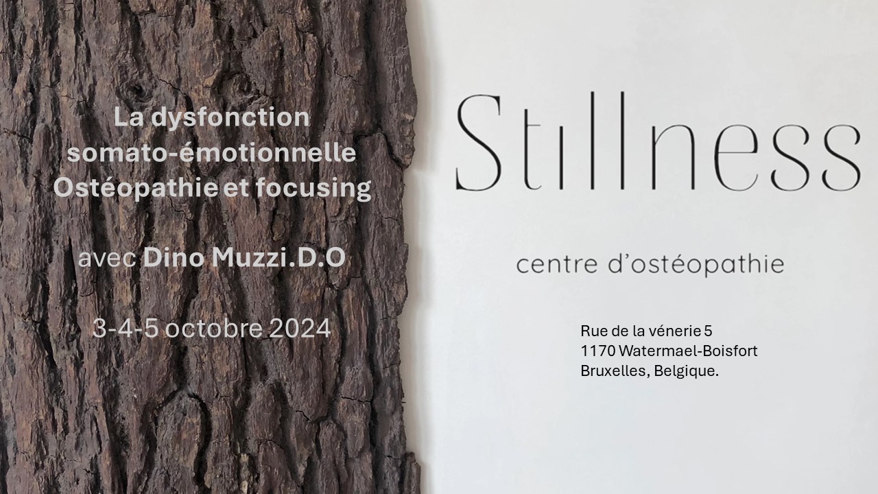 Stilness centre d'ostéopathie