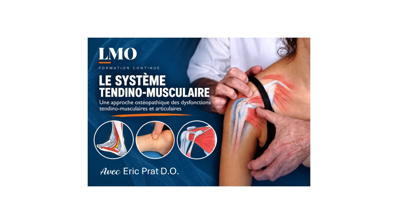 LMO-Le système tendino-musculaire. Une approche ostéopathique des dysfonctions tendino-musculaires et articulaires. Eric Pratt D.O.